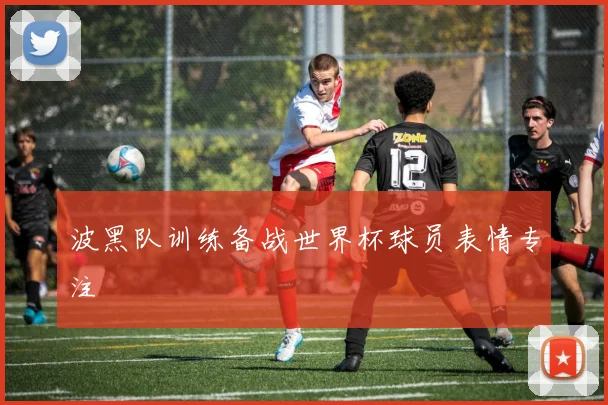 波黑队训练备战世界杯球员表情专注